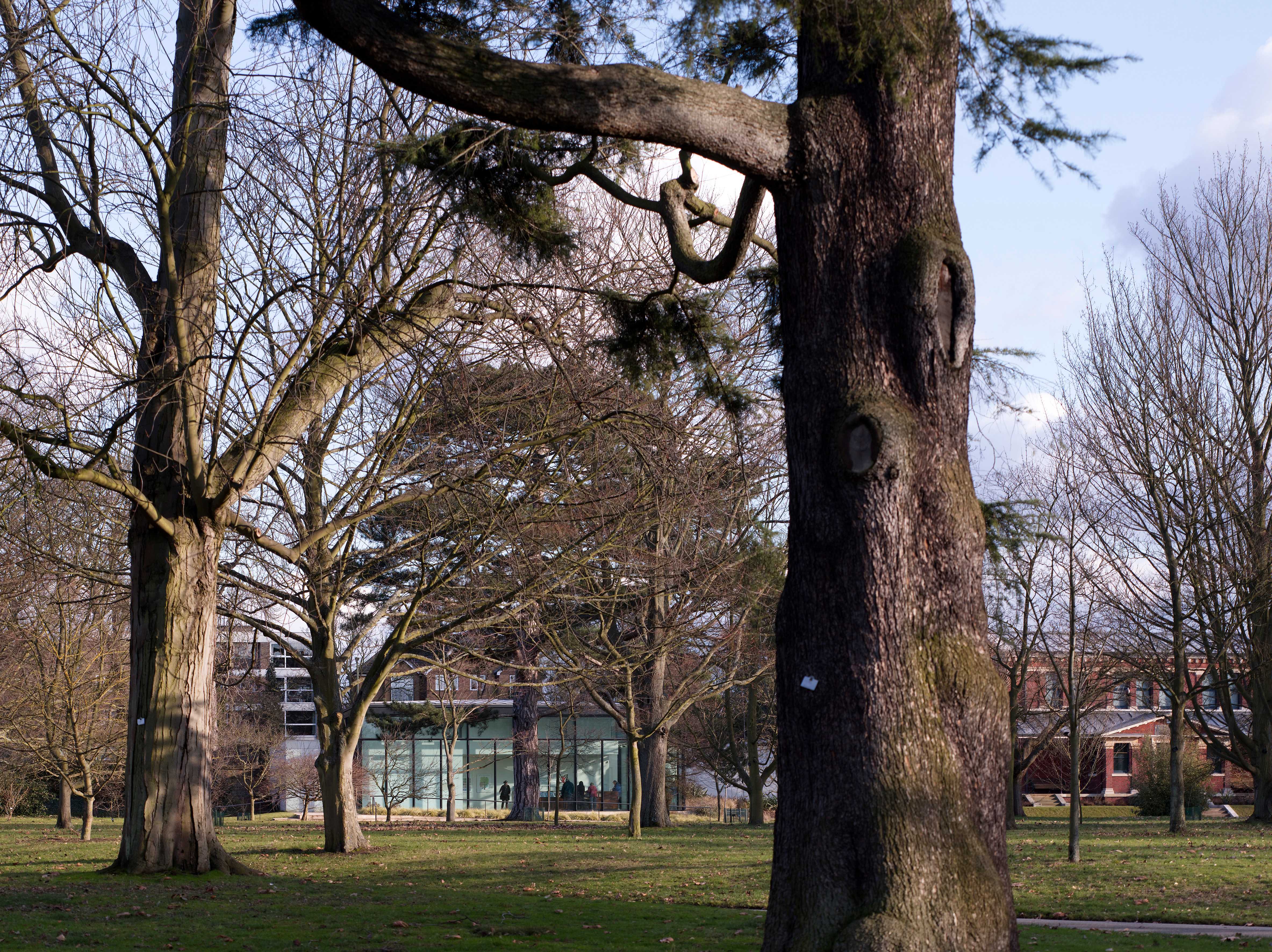 邱园植物艺术画廊（雪莉舍伍德美术馆）-17