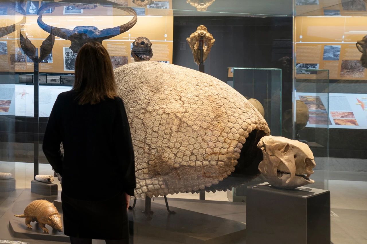 米兰自然故事博物馆(第九展厅)丨意大利米兰丨意大利 Migliore Servetto 设计工作室-10