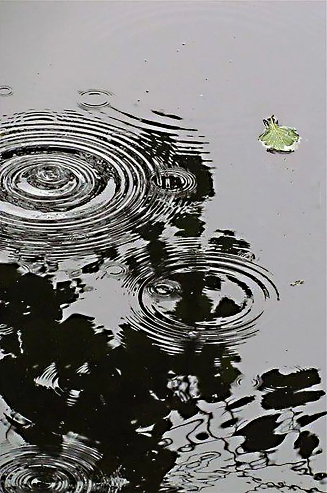 雕刻大地,自然形体与家的微妙关系丨中国深圳丨温馨工作室-9