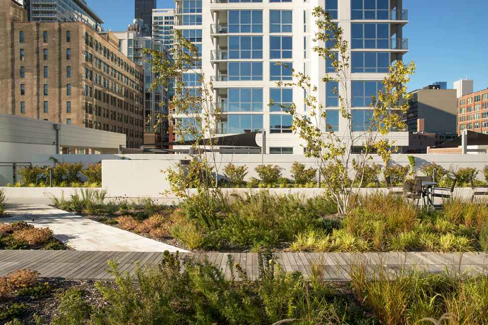 丨United StatesChicago丨Site Design Group-12