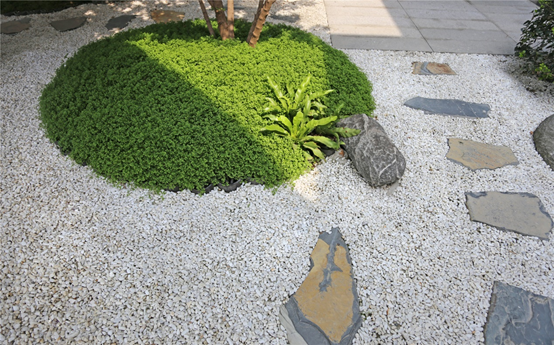 锦瑭康养社区 | 创新养老设计,温暖长者生活-49