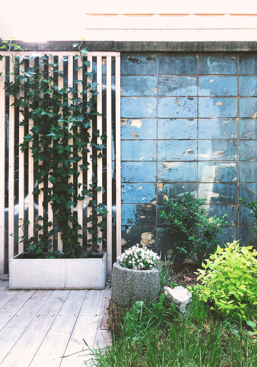 金蛋咖啡馆丨捷克丨mh architects-29