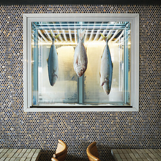 Bondi's Best by TomMarkHenry | Australian Interior Design Awards-3