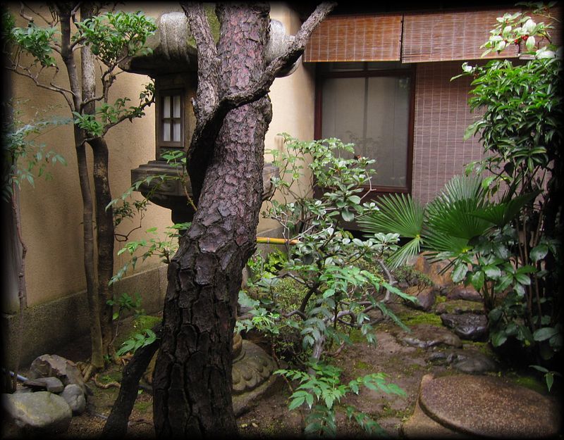 晦庵河道屋,老舗の中庭と坪庭丨日本京都-20