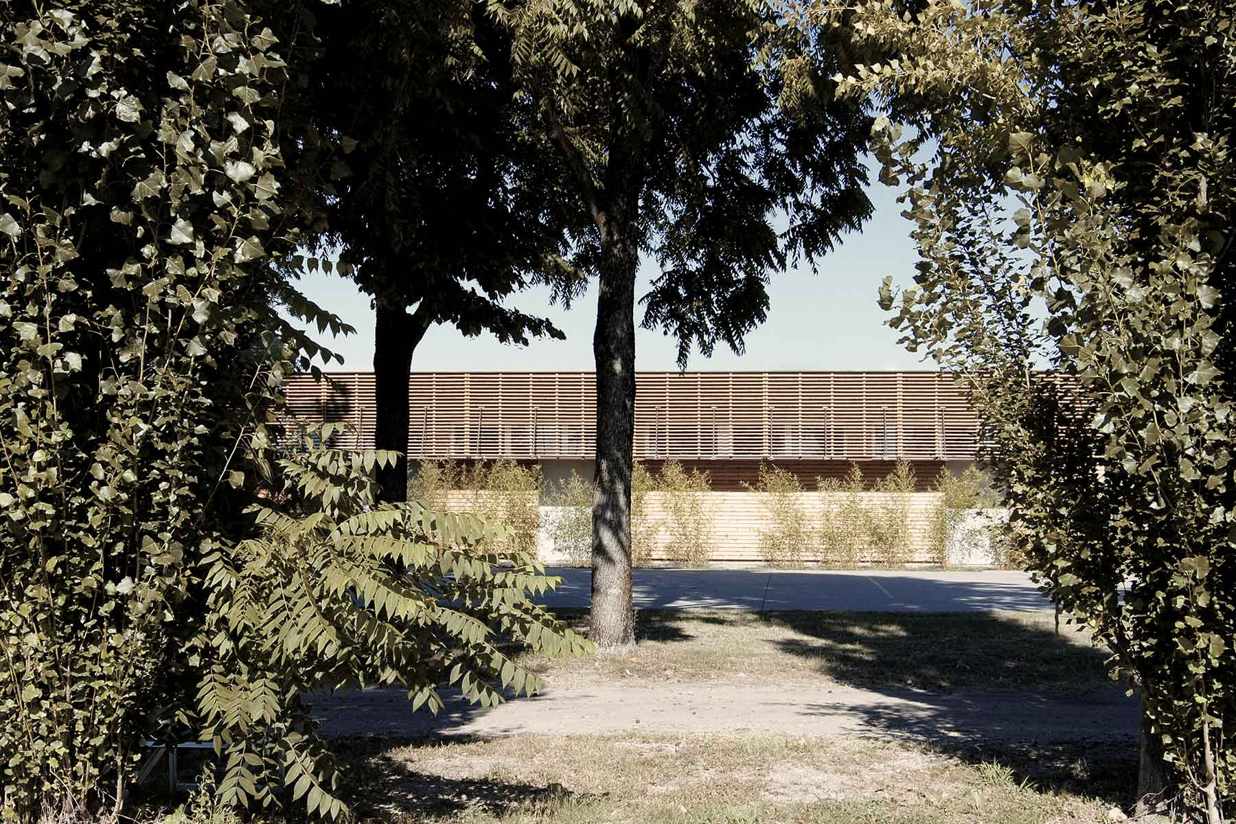 Canottieri Mincio Archiplanstudio-7