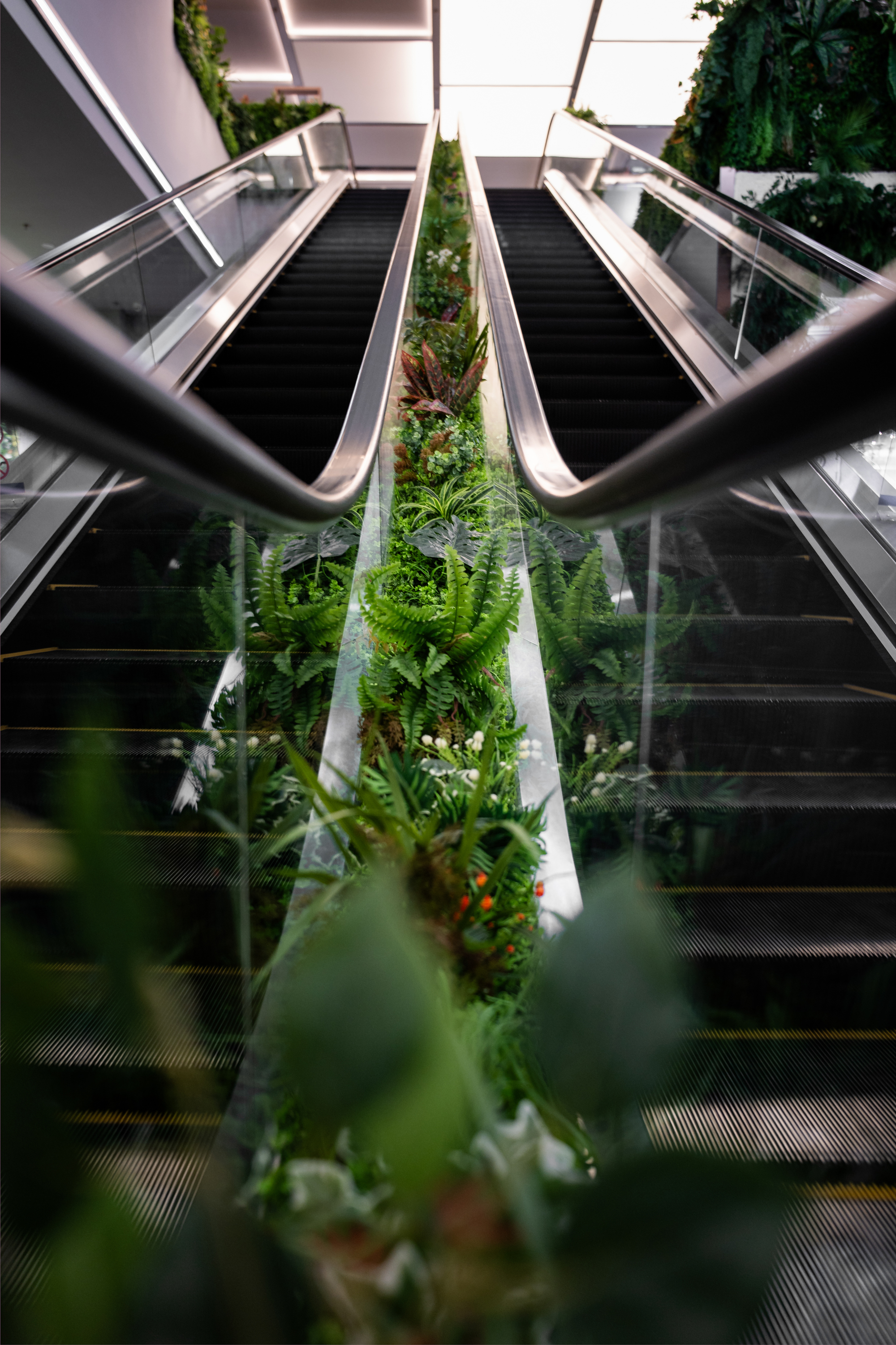 北京超极合生 迷失在花鸟鱼虫市场里的年轻人。-12