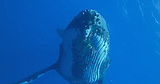 如果世界是半透明的丨中国丨易思维室内设计-33