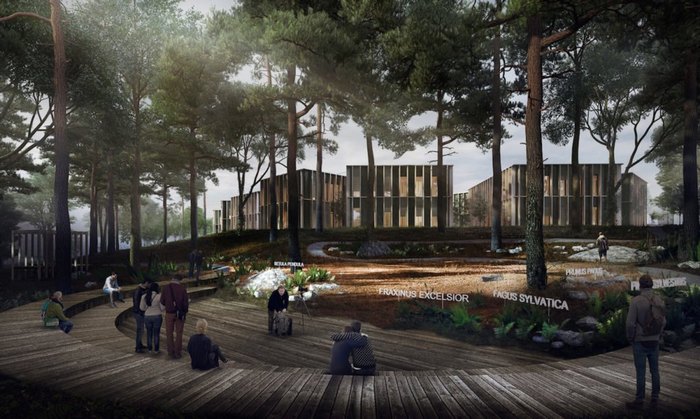 “Forestry in the Forest”（森林中的林业办公室）丨捷克丨Chybik + Kristof建筑设计工作室-7