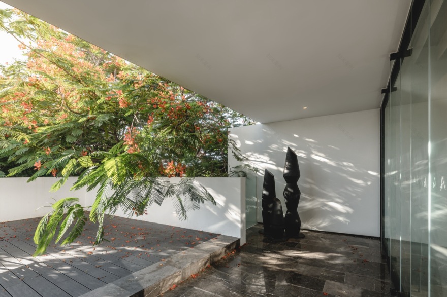 THE ASYLUM办公空间丨墨西哥丨Arkham Projects-44