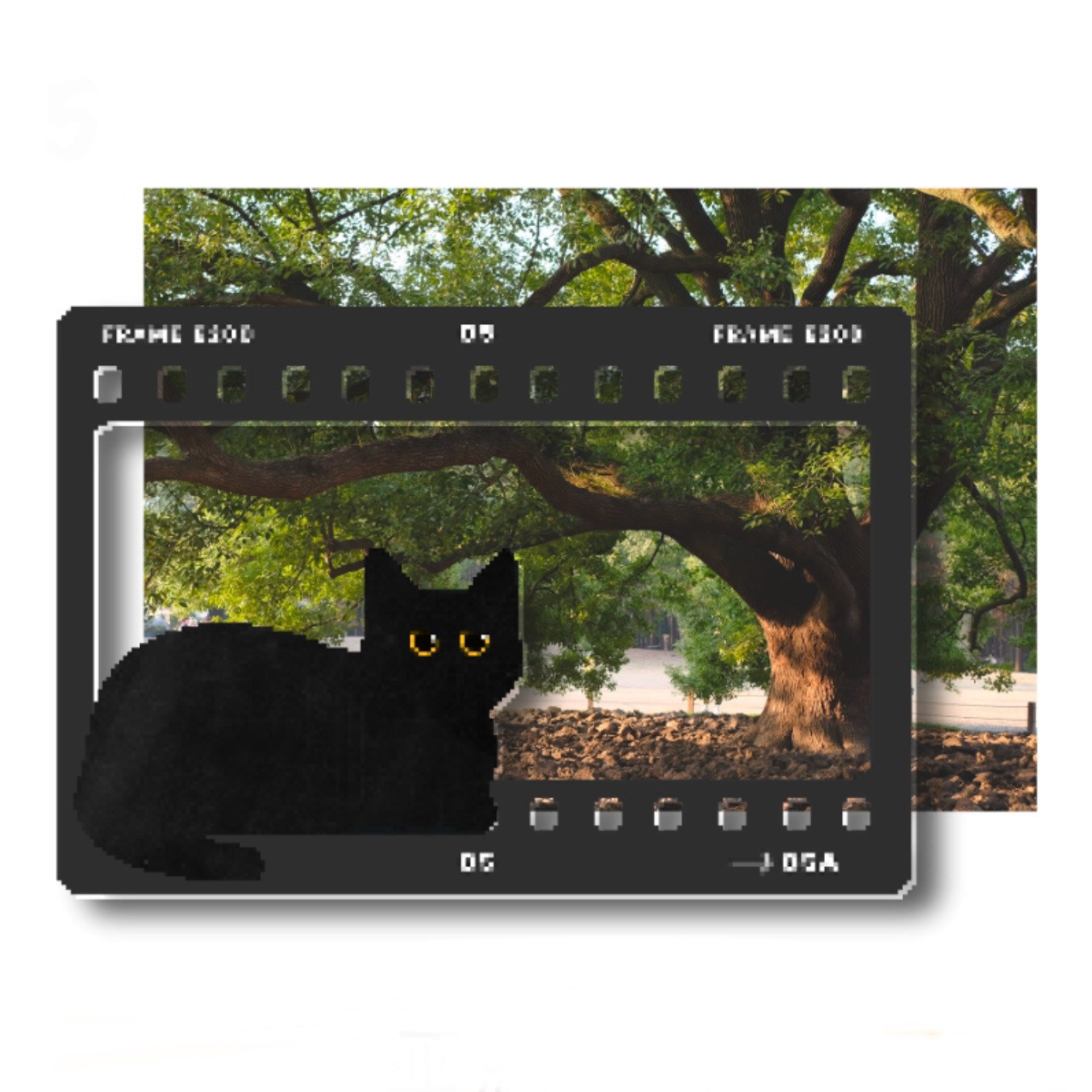 The Black Cat Charity Products-4