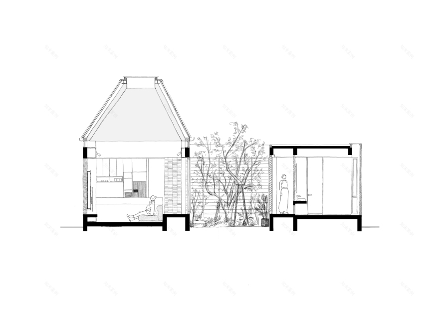 树的房子丨泰国曼谷丨Studio Bewell-20