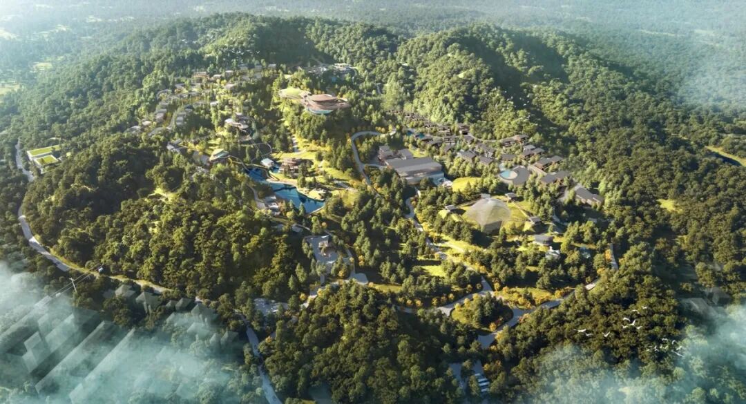 【一线写真】于群峰云海间，绘就生态文旅新画卷-16