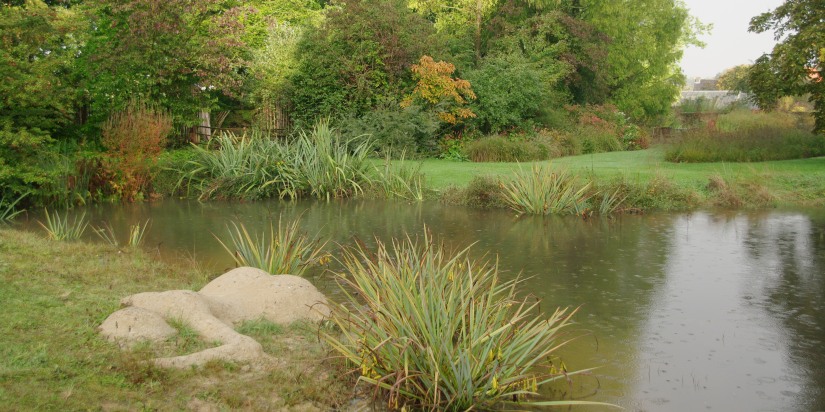 Grassentuin（草坪花园）等相关花园项目丨Chris Ghyselen（景观建筑师）-25