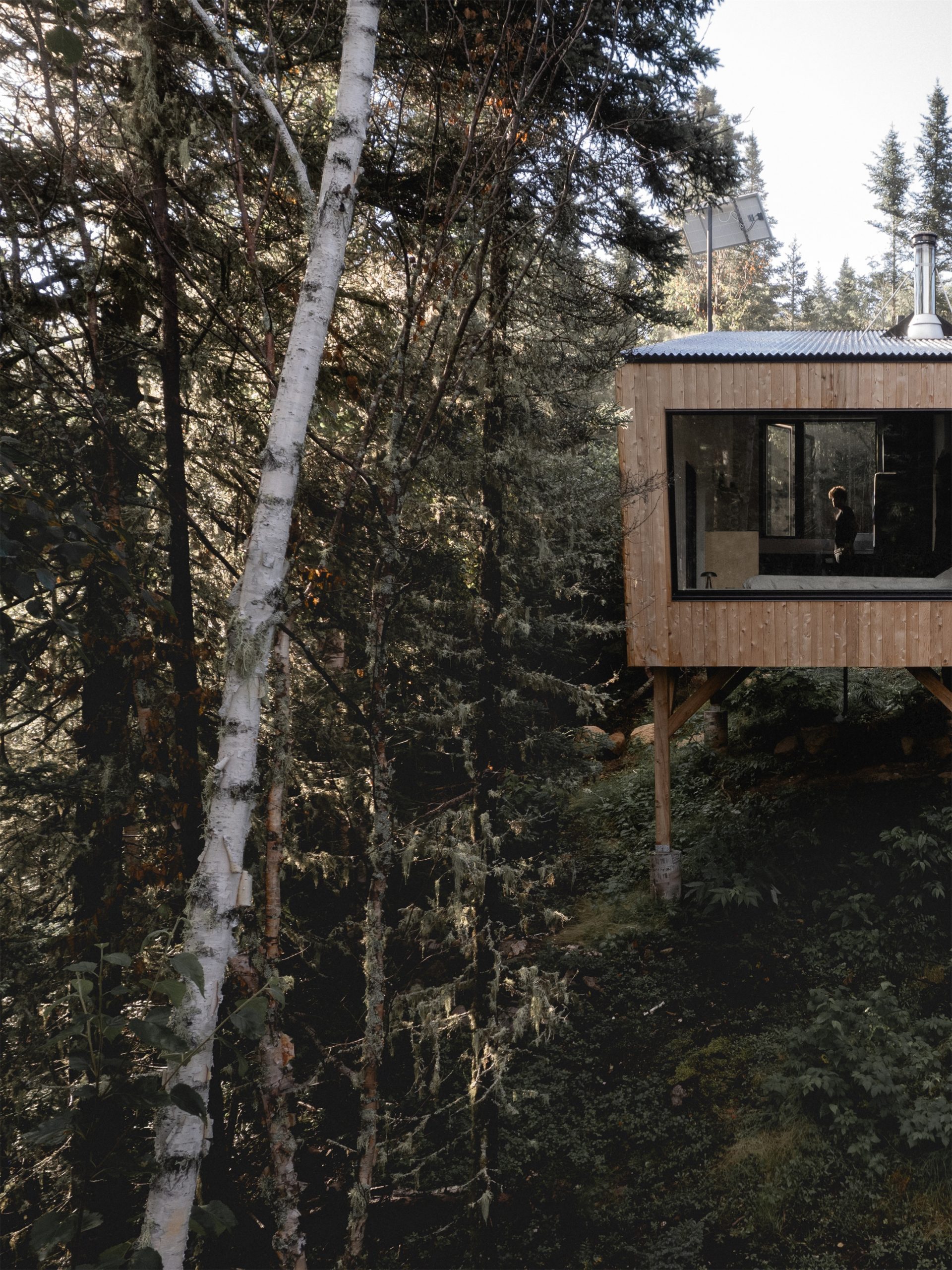 自然取景器·森林中的庇护所丨加拿大魁北克丨Atelier L’Abri-4