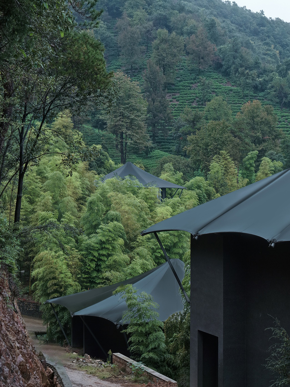 隐奢于野,与自然共呼吸丨中国湖州丨慢珊瑚设计-20