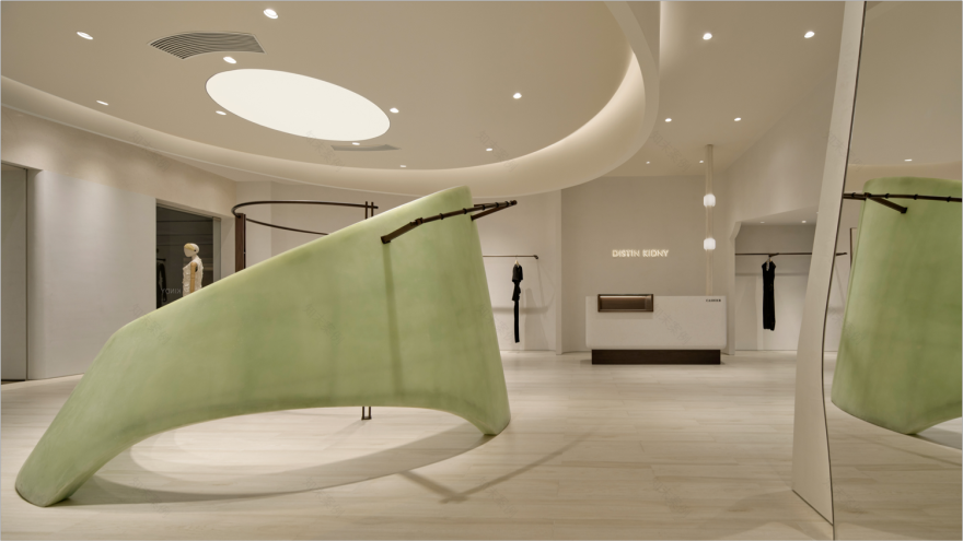 Distin Kidny store by All Design Studio-8