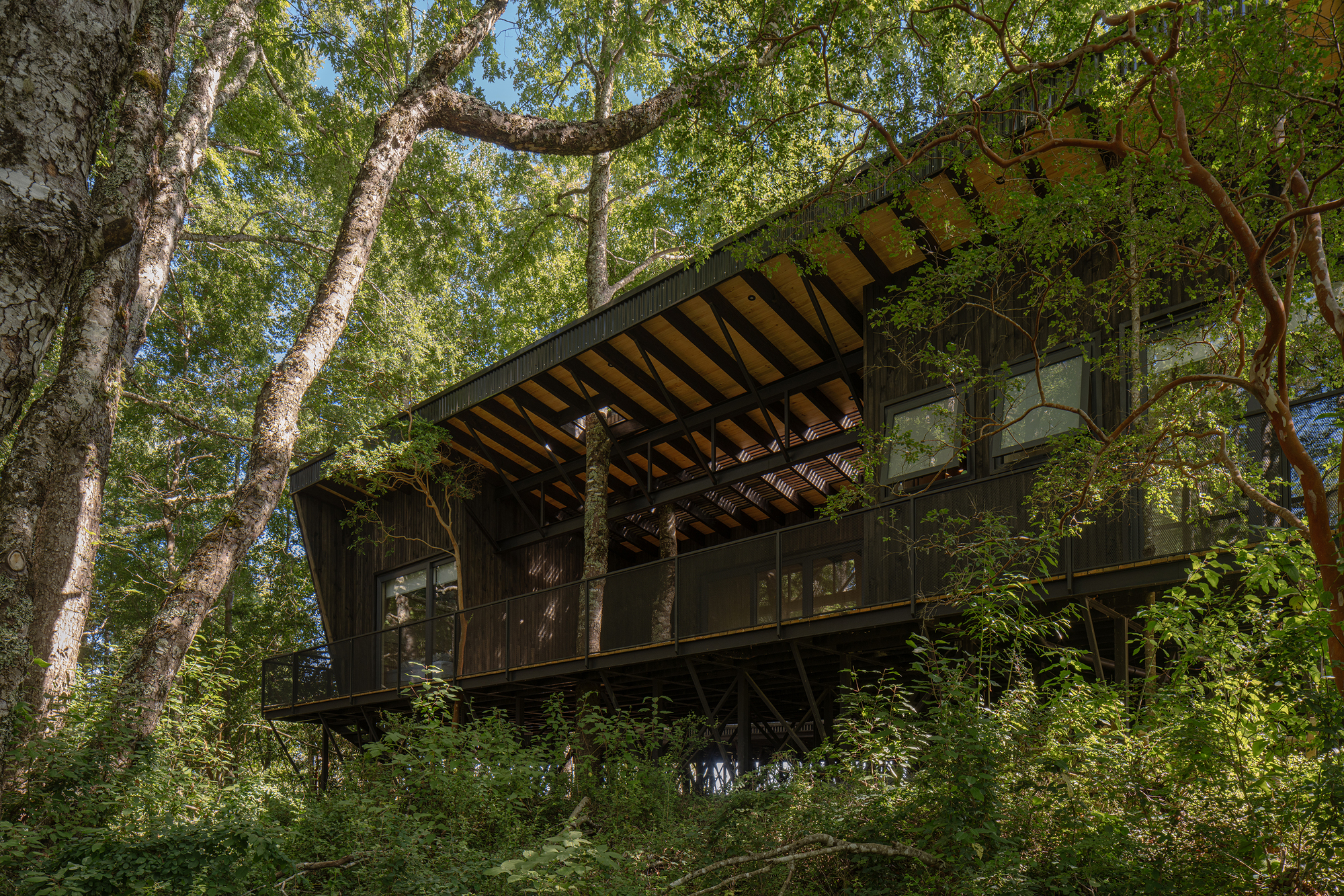 丨智利丨Lucas Maino Fernández-19