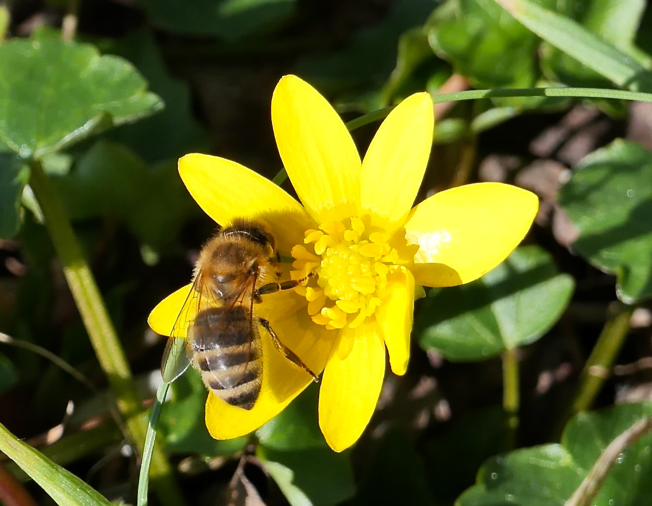 2026年复活节之旅-5