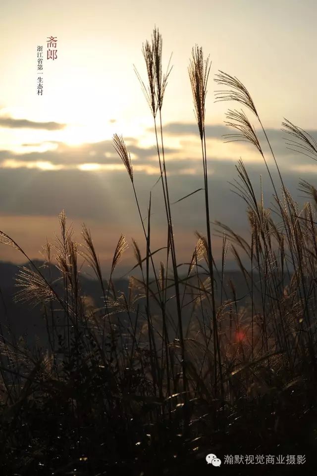 浙江斋郎 | 寻觅消失的古村落之美-66