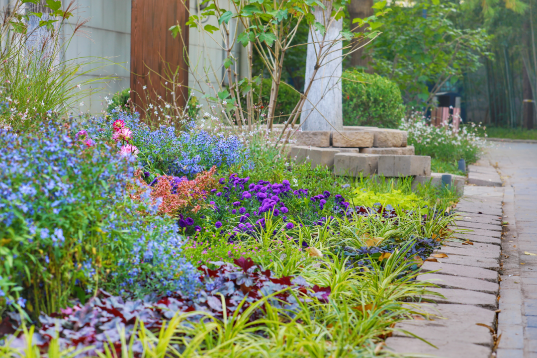 南馆公园及周边改造提升项目丨中国北京丨北林地景-60