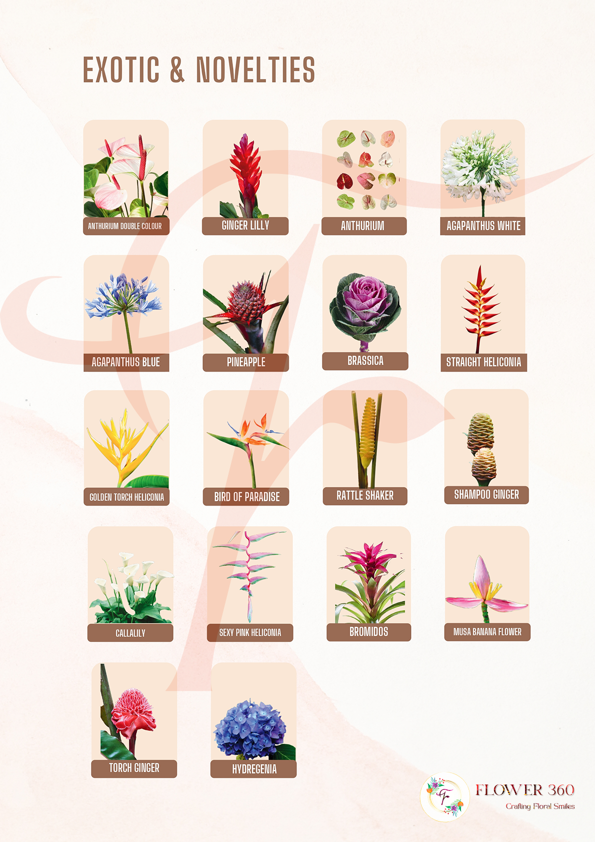 Decoration Flowers Brochure-5