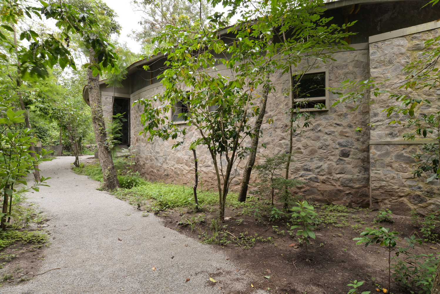 Amacueca House  CoA arquitectura + Departamento de Arquitectura-45