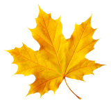 周末带娃撒欢，去旺山郊野公园觅野趣！-11