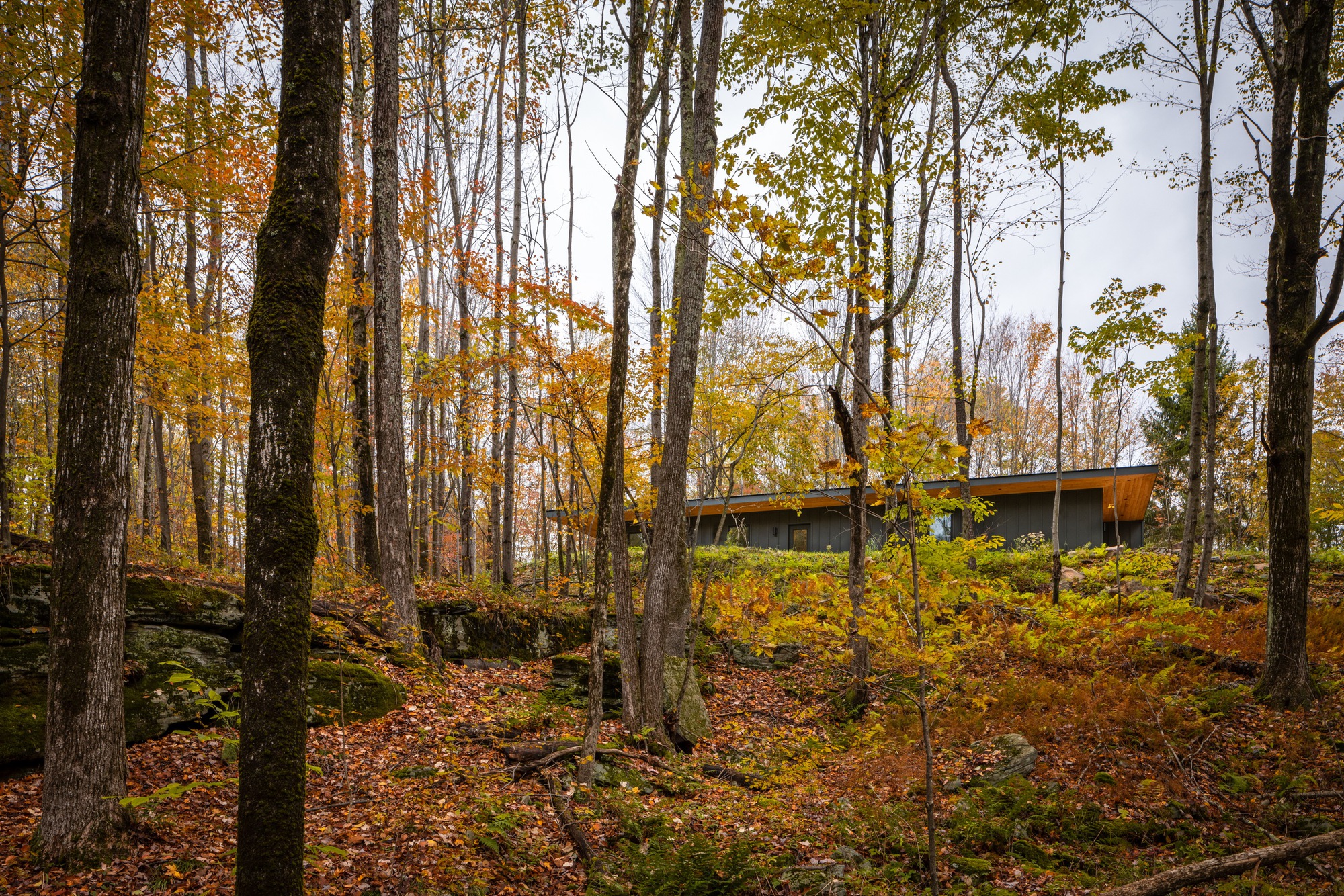 利文斯顿庄园宅邸丨美国丨Marc Thorpe Design-8