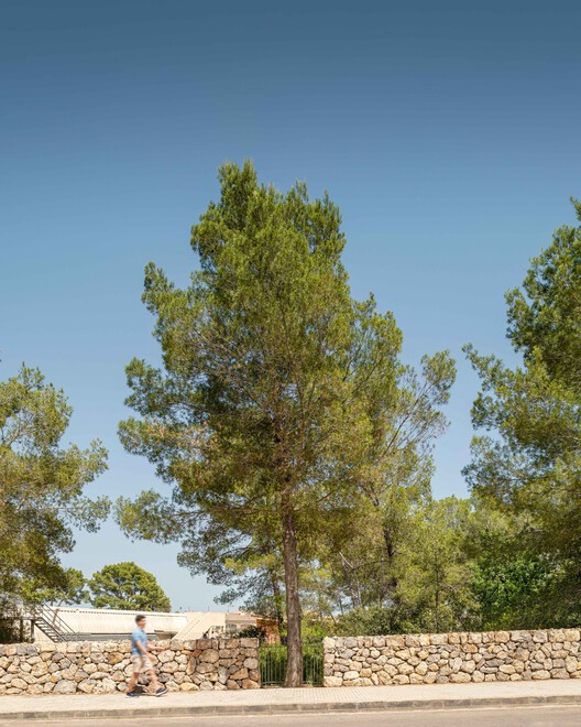 Son Caulelles 考古遗址景观设计丨西班牙-12