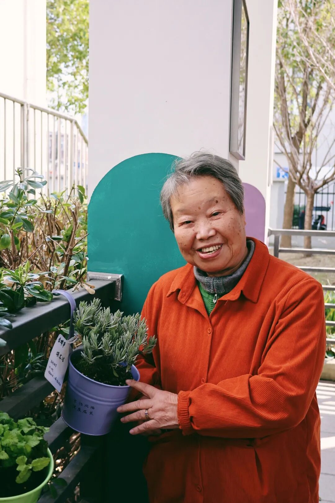 用植物疗愈时光，以设计重塑银龄价值｜春日系列工作坊回顾-70