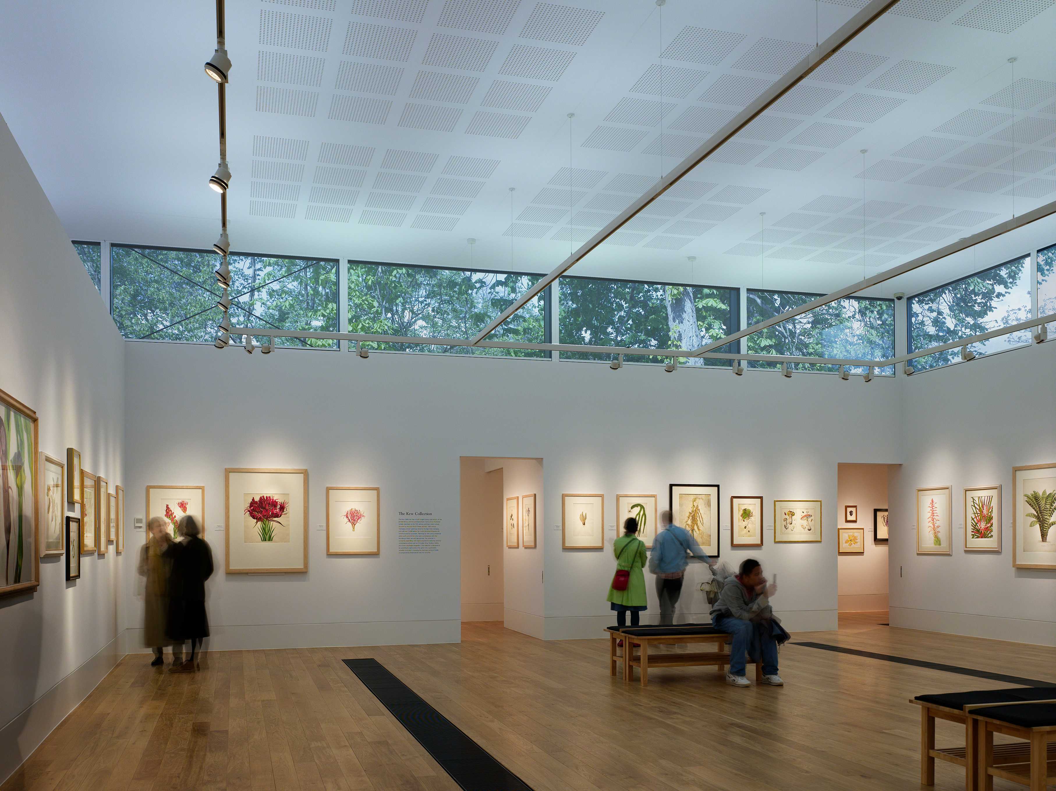 邱园植物艺术画廊（雪莉舍伍德美术馆）-36