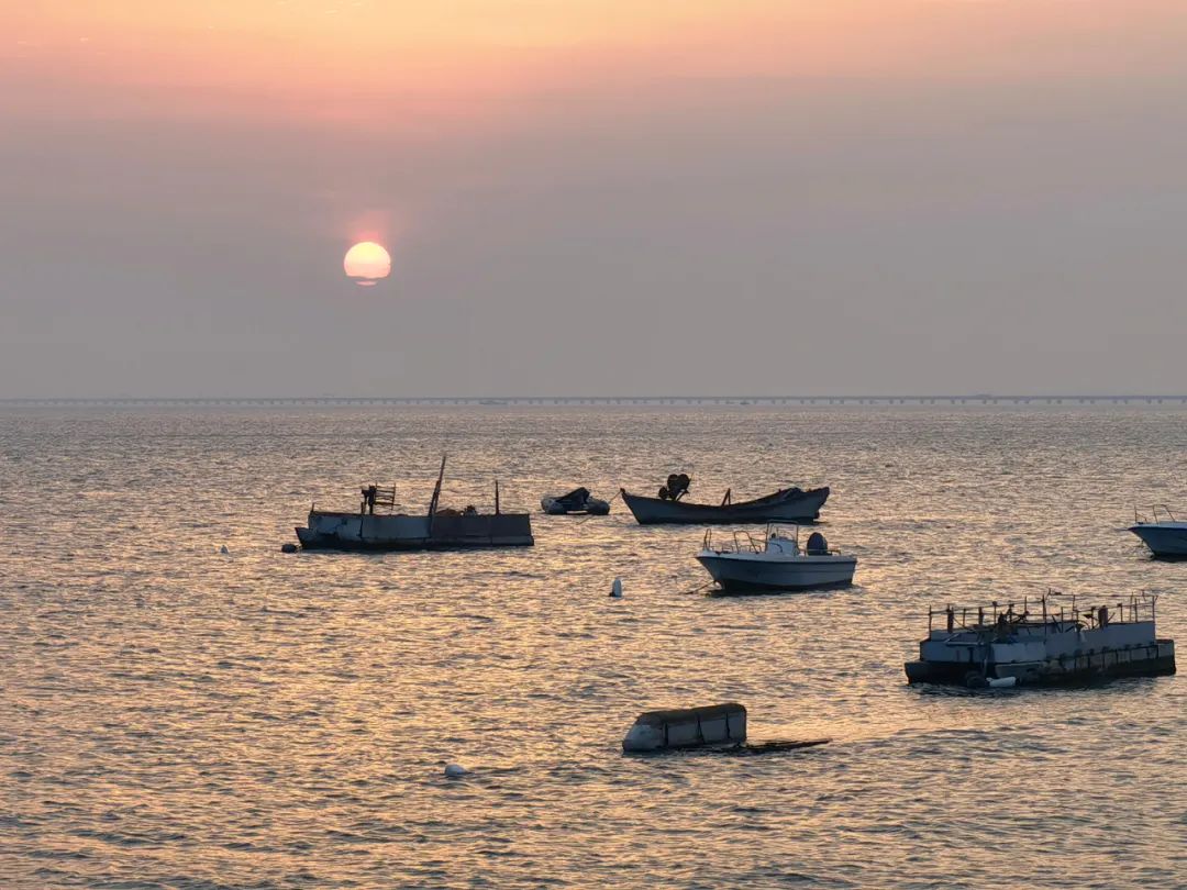 松林浪屿，海岸逐光丨青岛 · 云上观海-15