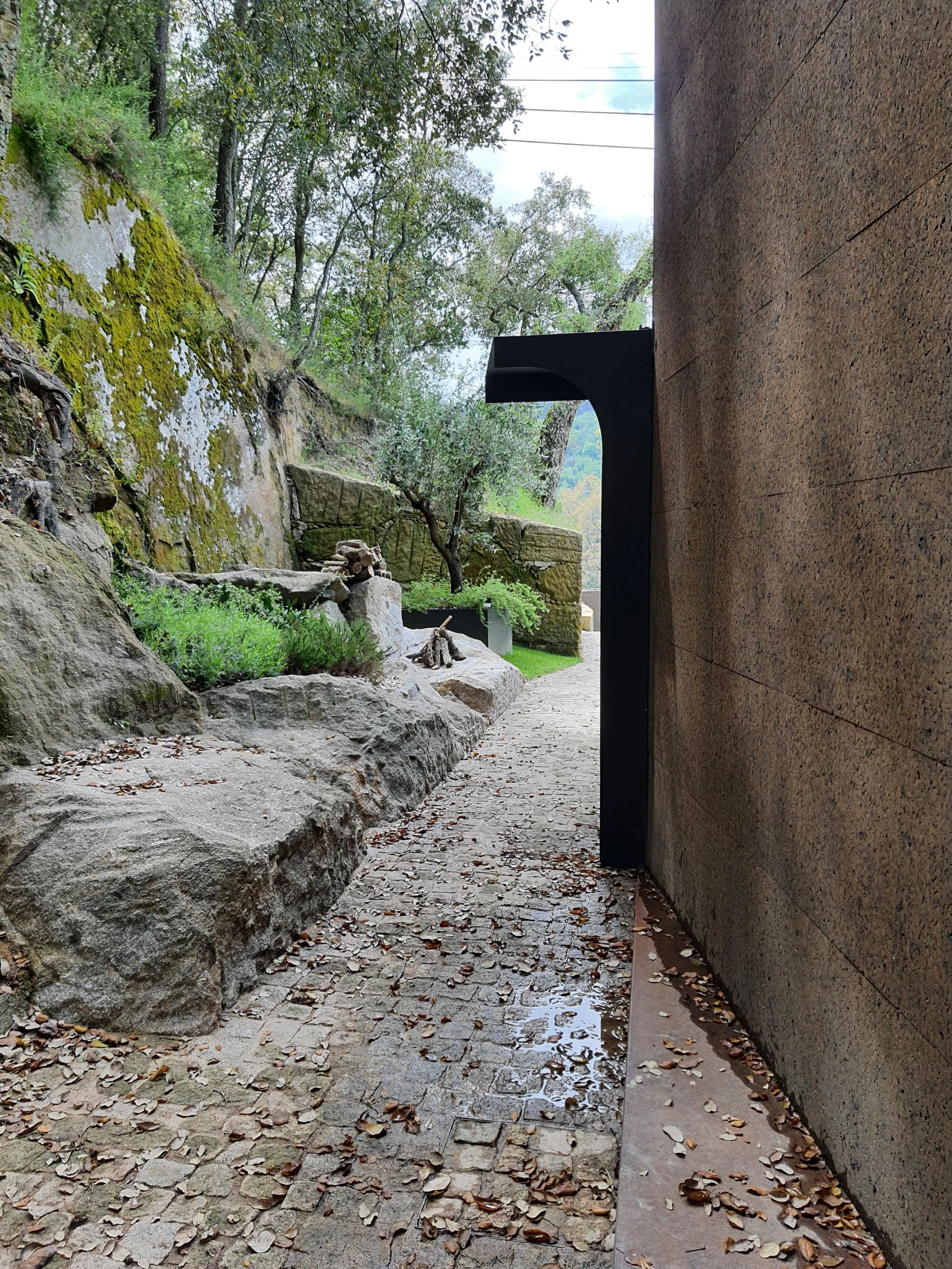 栓皮栎屋丨葡萄牙杜罗丨nonarquitetura-11