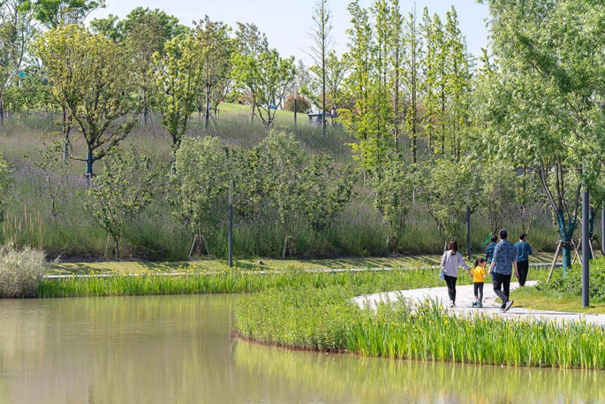 上海桃浦中央绿地丨中国上海丨James Corner Field Operations-42