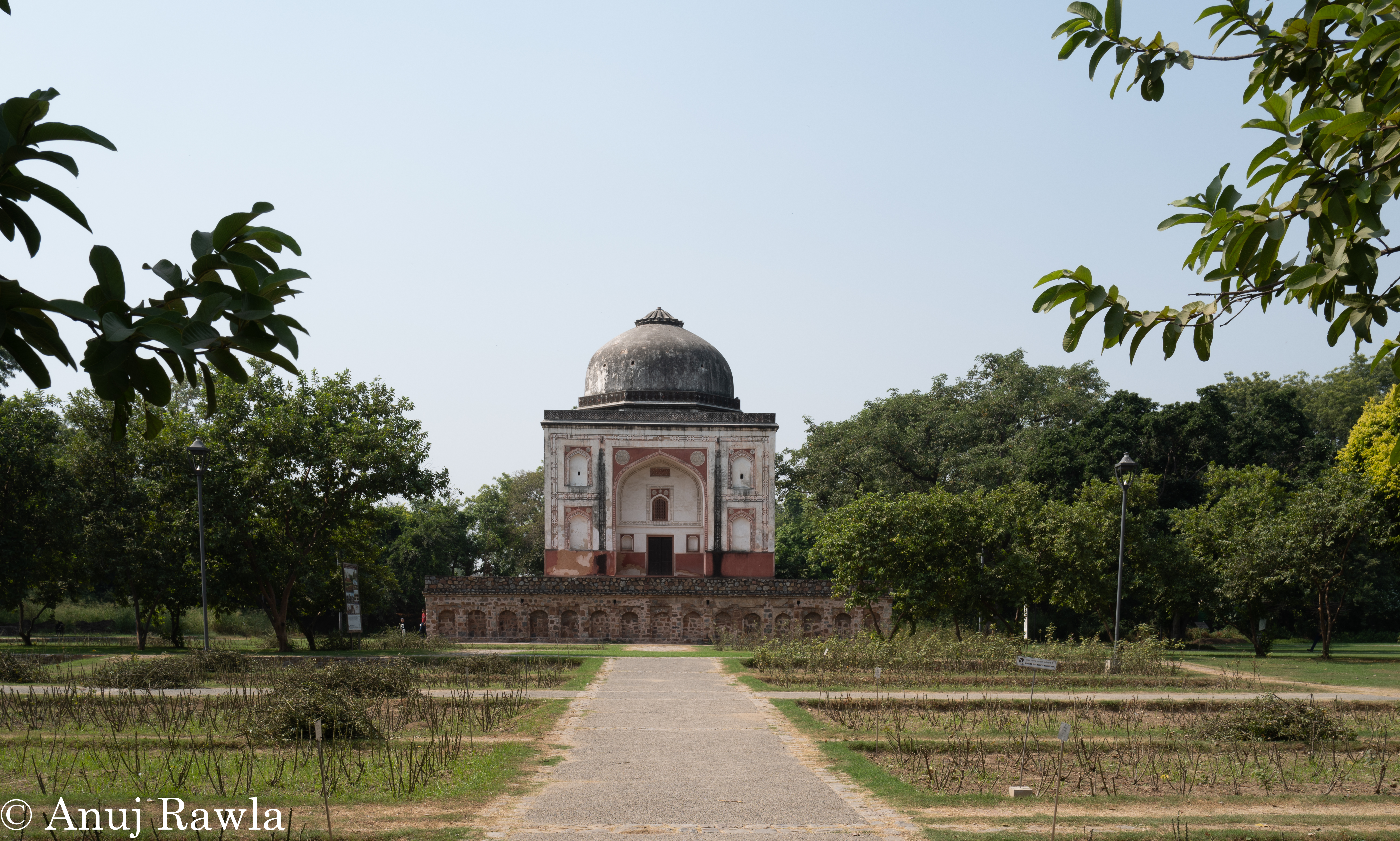 Sunder Nagar Nursery - Oct 2020 Sunday Market-75