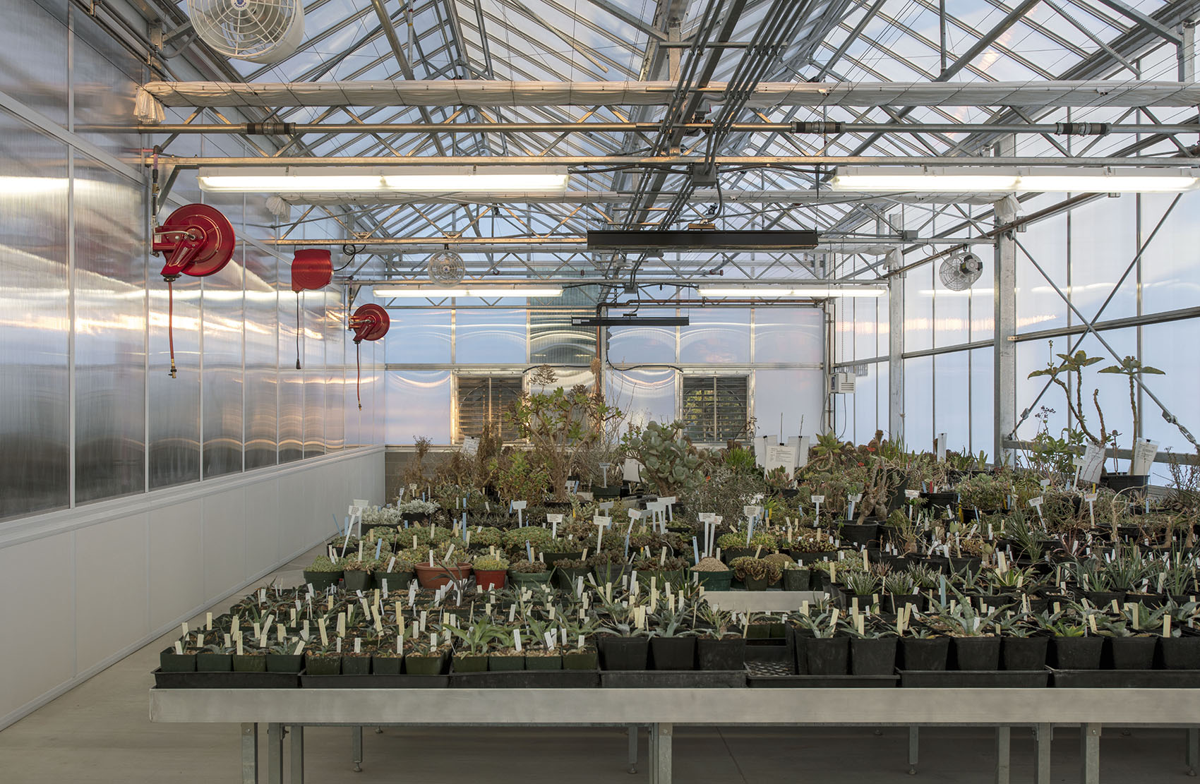 沙漠植物园一期丨美国-34