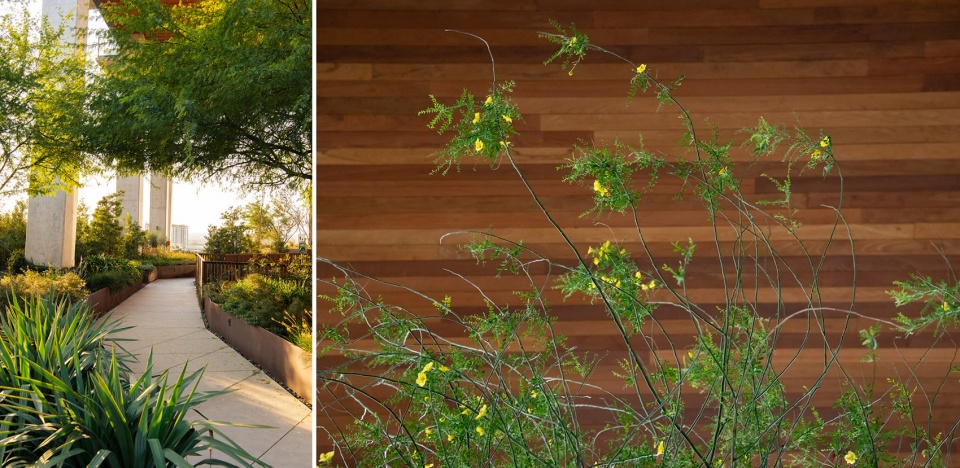 奥斯汀空中花园 | 绿色生活的创新范例-44