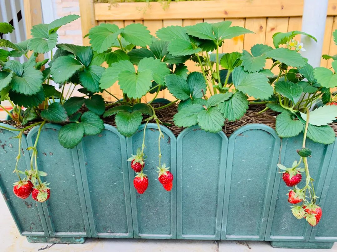 多一点浪漫 | 80、90 后的理想家居设计-66