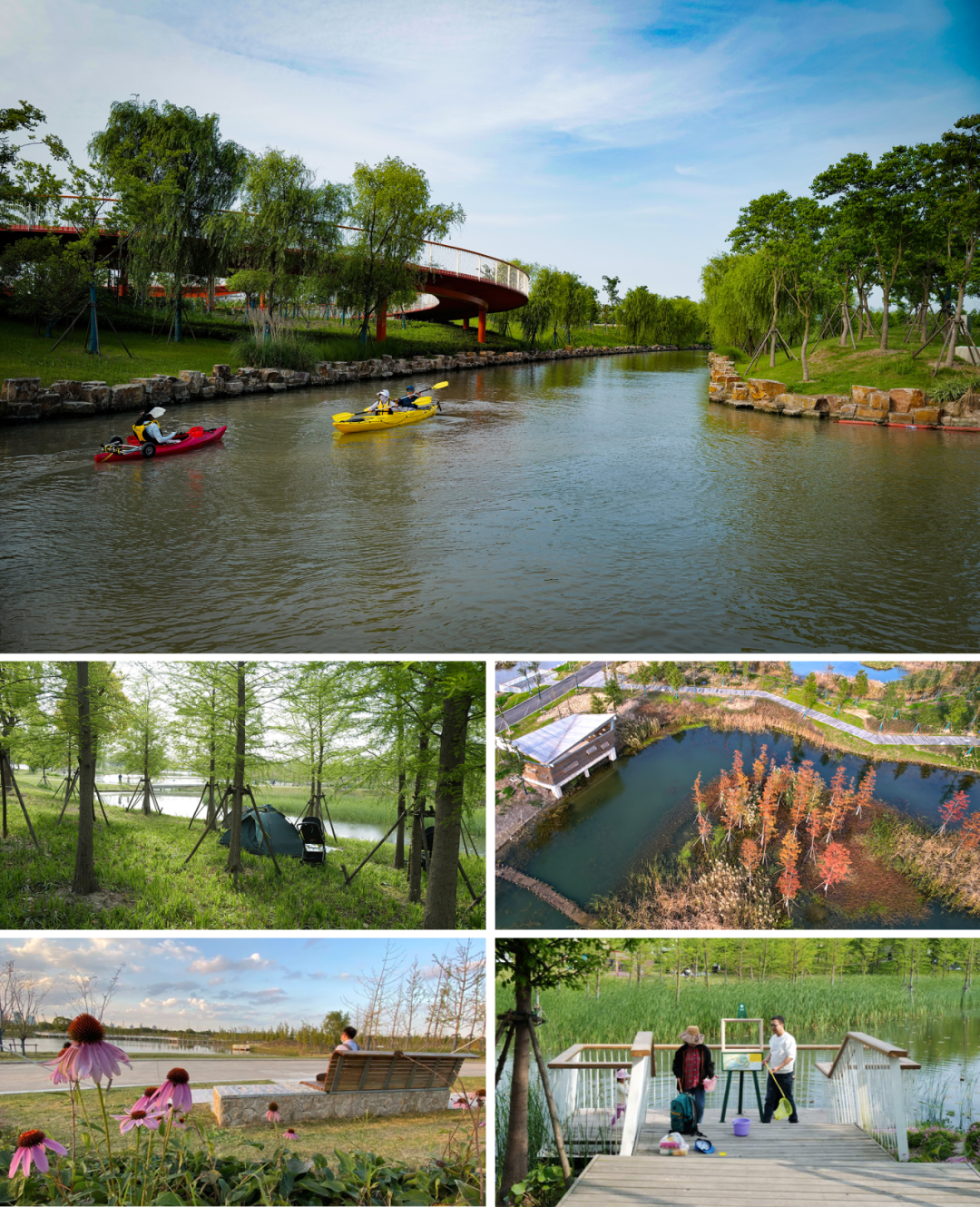 上海碧云绿地丨中国上海丨AECOM-38