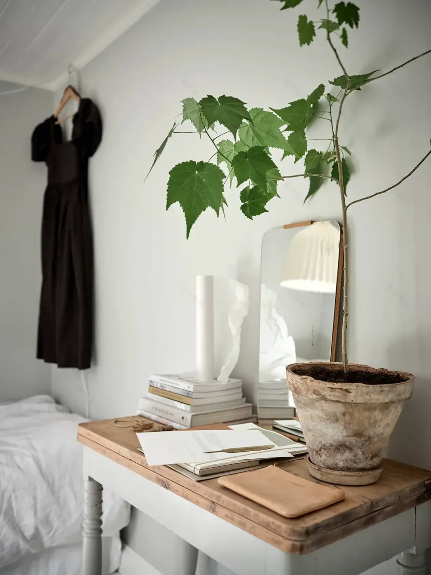 瑞典 19 世纪乡村风情木屋,白色内饰与田园风光完美融合-15