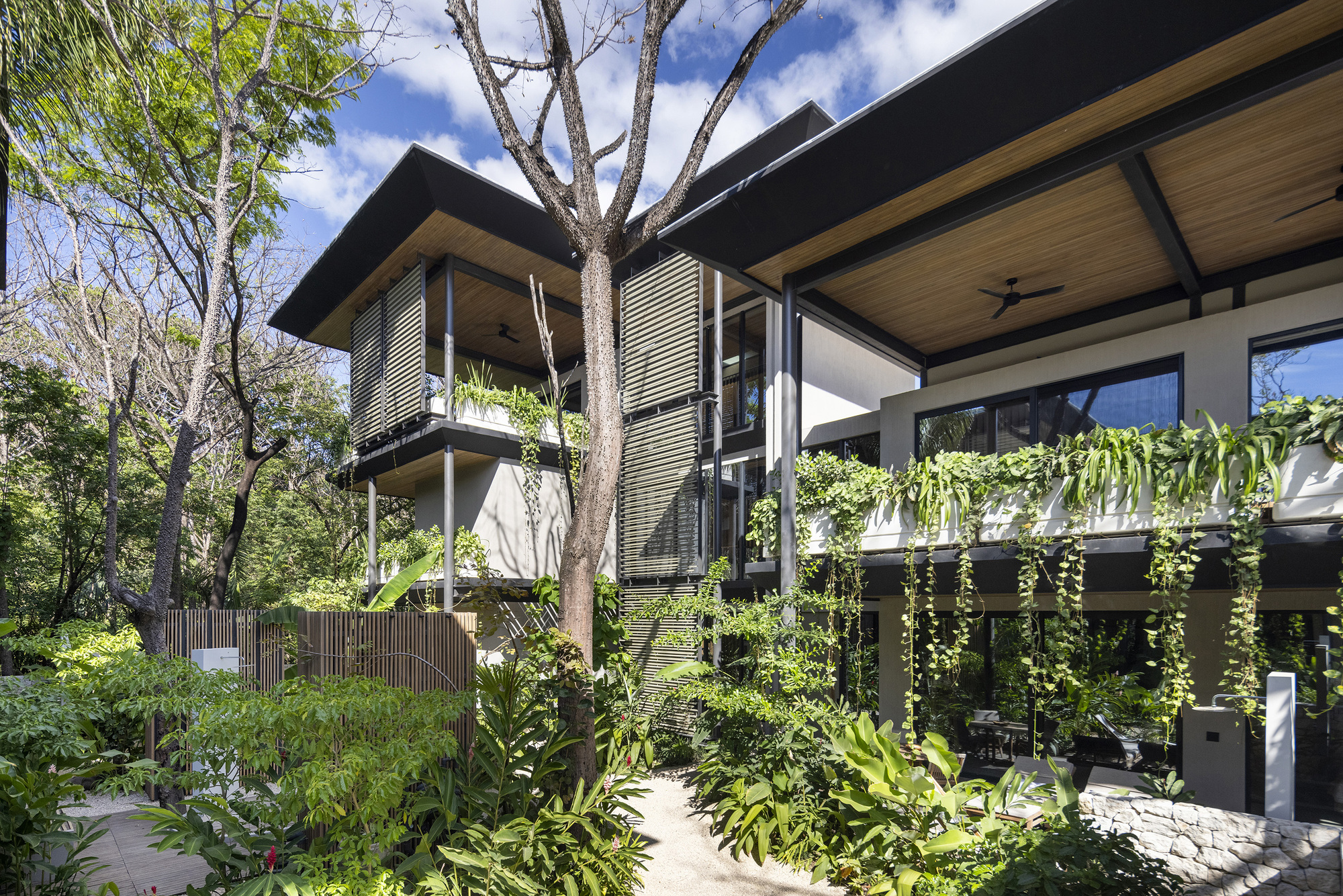 奎因冲浪公寓丨哥斯达黎加丨Studio Saxe-37