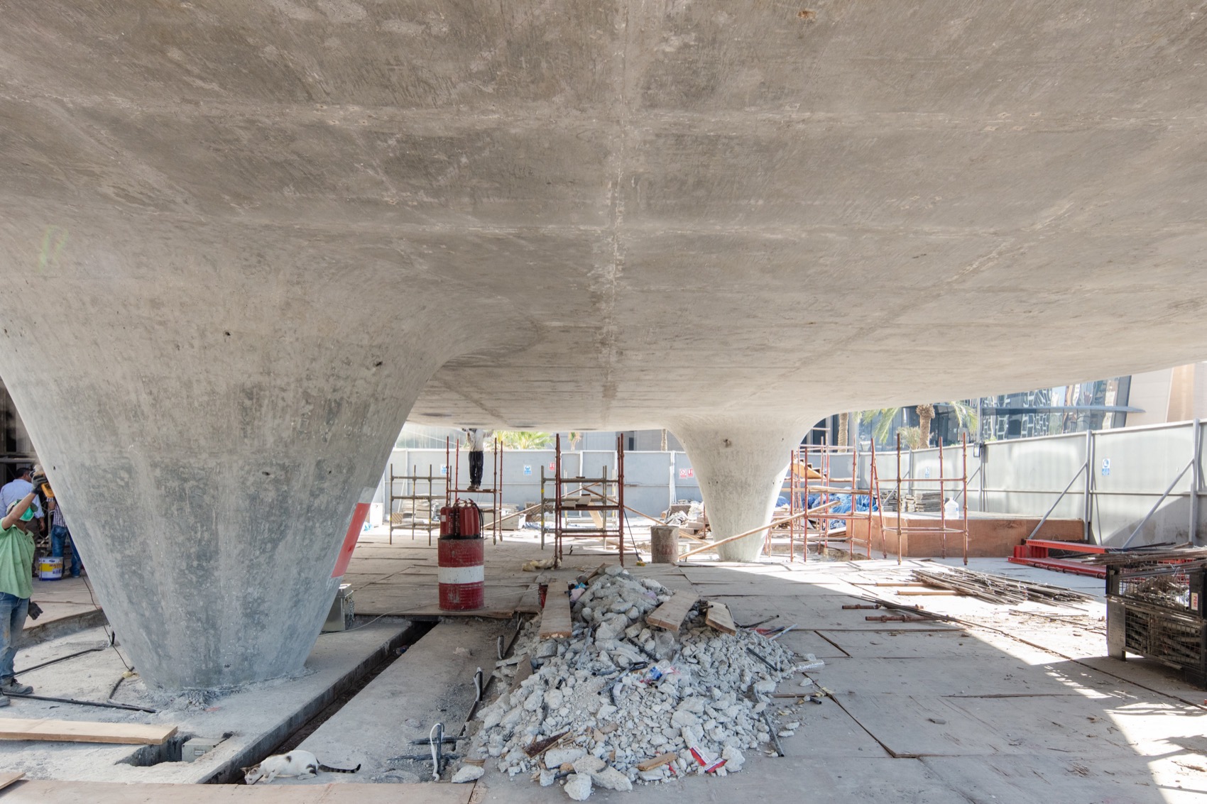 红点丨TAEP,AAP-111