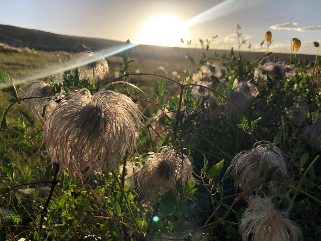 青海之旅 | 祁连山脉、茶卡盐湖、青海湖的惊艳设计-68