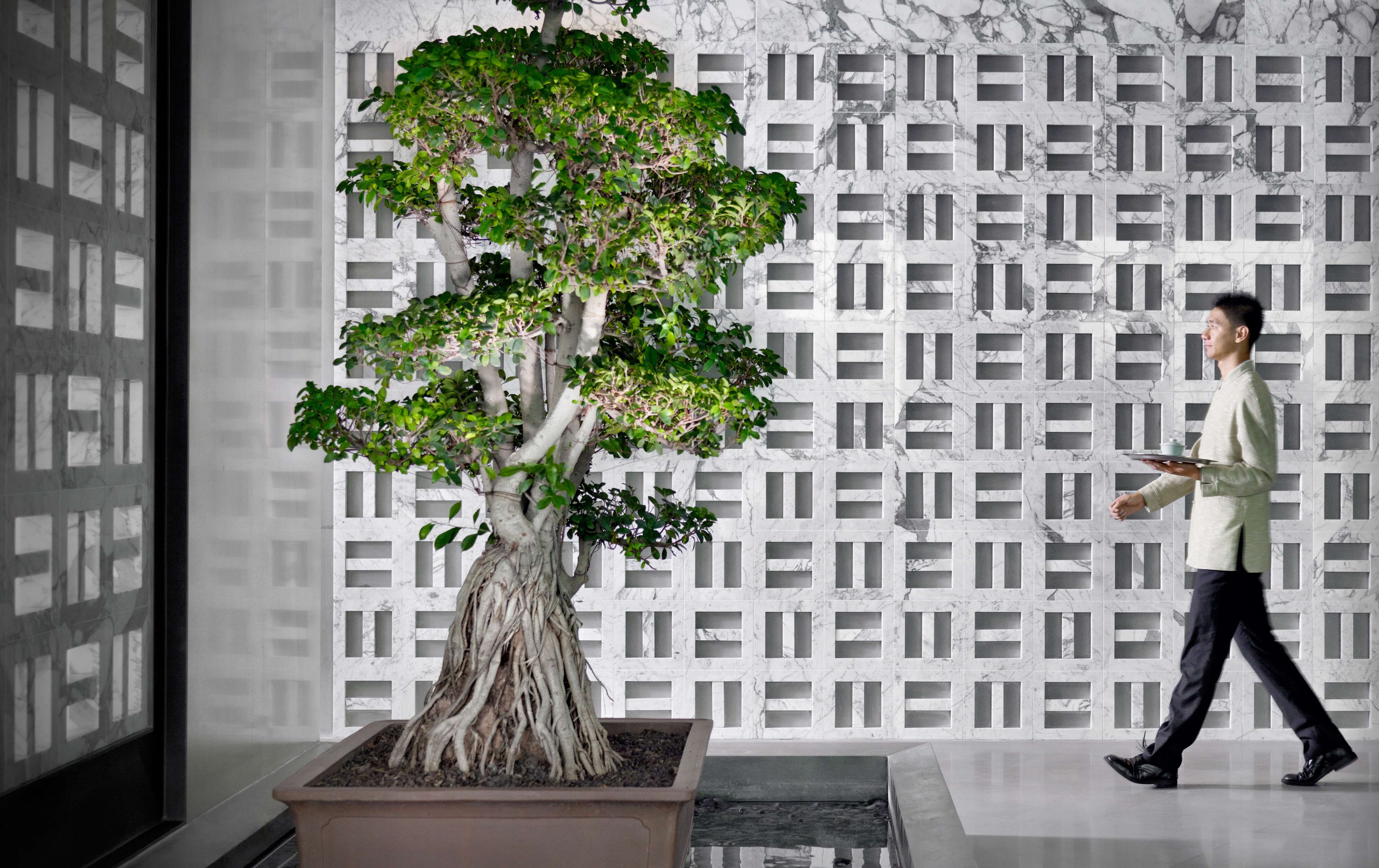 LTW－天津凯悦酒店官方摄影实景照片-8