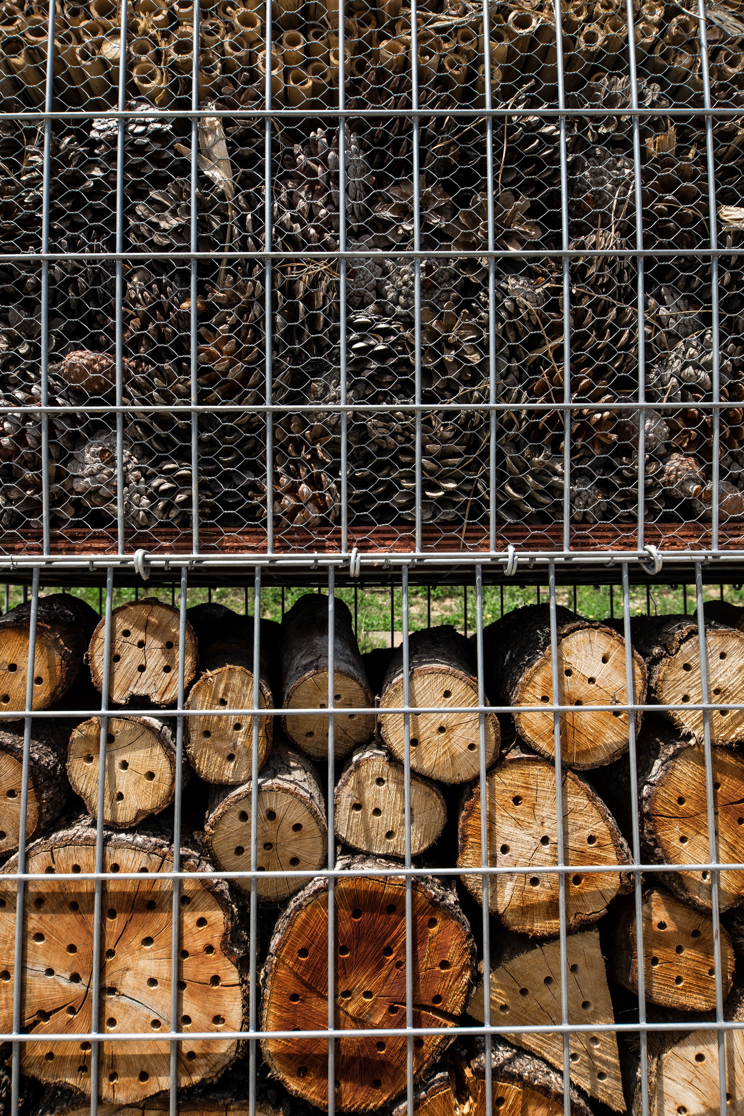 自然之巢 · 昆虫酒店的生态设计-26