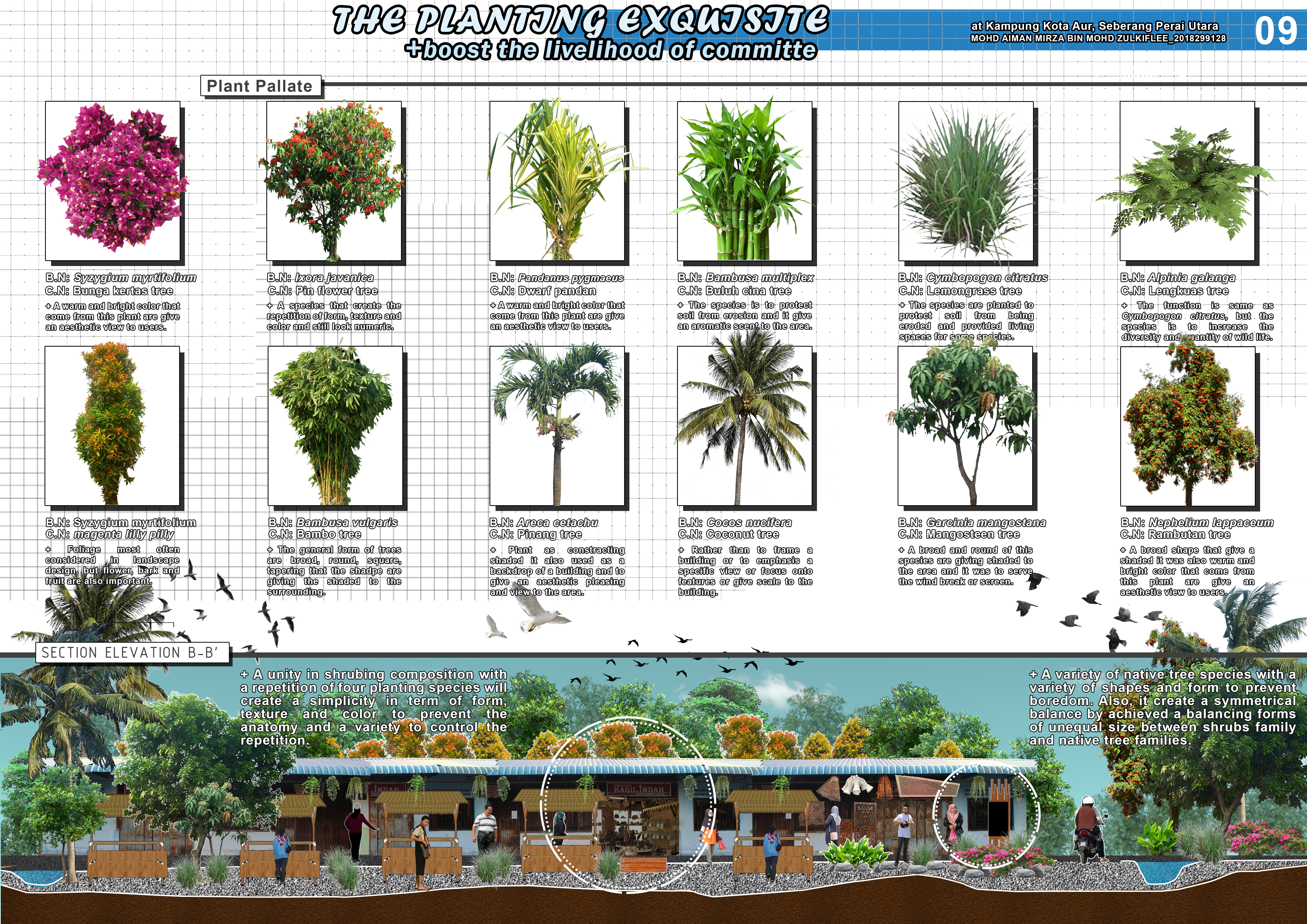 The Planting Exquisite | Planting Design-7