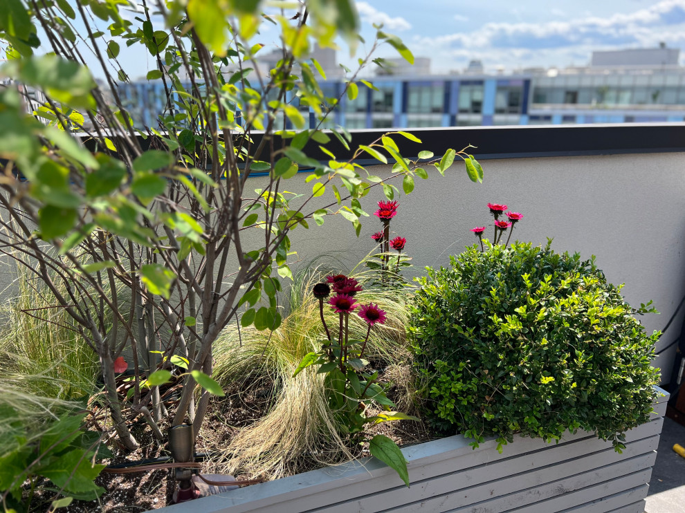 Williamsburg Roof Garden-43