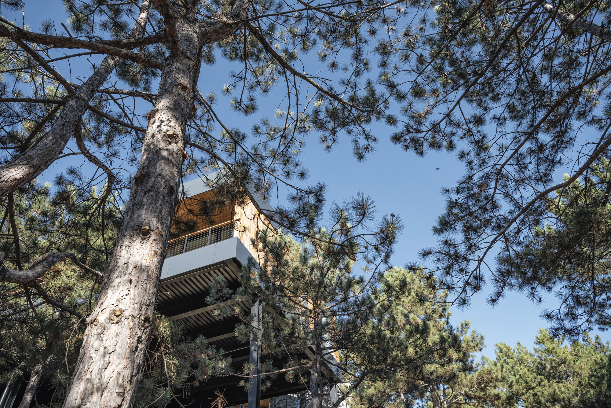 山坡上的房子丨乌克兰基辅丨TWO+-30