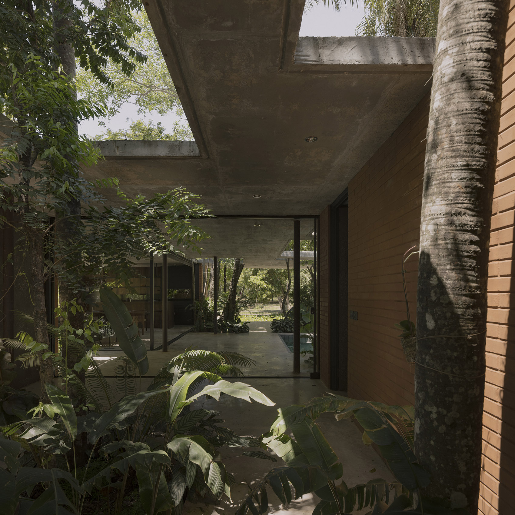 屋中森林丨巴拉圭丨Equipo de Arquitectura-88