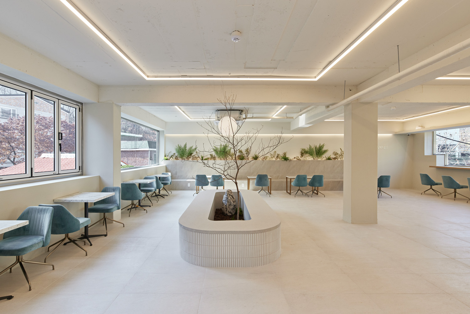 首尔 60 平现代宠物咖啡厅设计-4